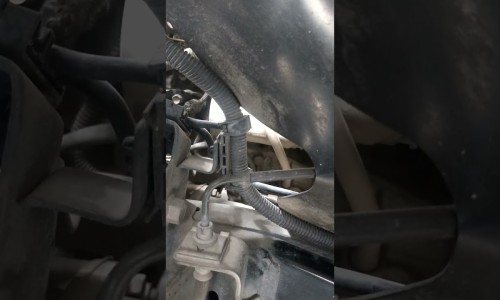 中药萝卜汤能不能同吃-中药 萝卜汤网 | 中草药萝卜,中药萝卜汤能不能同吃